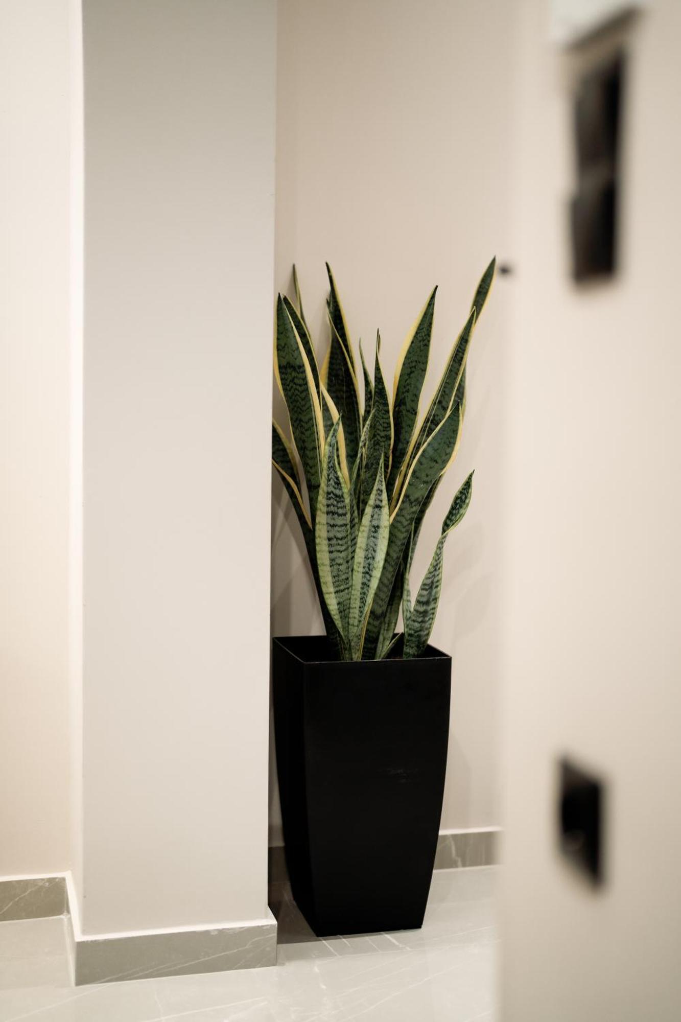 Apartmán Elegance Lofts Kavala Exteriér fotografie